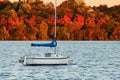 Sail Boat on Lake Harriet against Colorful Autumn Foliage
