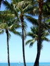 Sail Boat off Waikiki Beach Royalty Free Stock Photo