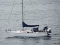 Sail Boat in Puget Sound Royalty Free Stock Photo