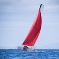 Sail boat regatta Royalty Free Stock Photo
