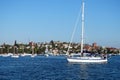 Sail Boat, Rose Bay, Australia Royalty Free Stock Photo