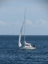 A sail boat sailing on the sea between Denmark and Sweden Royalty Free Stock Photo