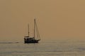 A sail boat sailing the sea during the sunset Royalty Free Stock Photo