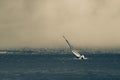 Sail Boat in Stormy San Francisco Bay Royalty Free Stock Photo