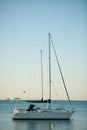 Sail boats anchored on a calm sea in late afternoon Royalty Free Stock Photo