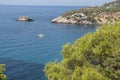 Sail boats in a bay at sea