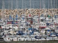 Sail boats moored at the harbour in Helsingor Royalty Free Stock Photo