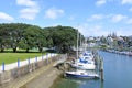 Sail boats mooring in Wairau Creek in Milford Auckland