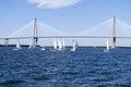 Sail boats under bridge Royalty Free Stock Photo