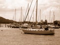 Sail boats in Virgin Islands