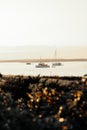 White boat on sea during golden hour Royalty Free Stock Photo