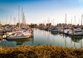 Sail boats and yatchs anchored in marina Royalty Free Stock Photo