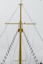 Sail ship mast Royalty Free Stock Photo