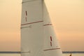 Sail of a yacht against the sunset sky on lake Ontario Royalty Free Stock Photo