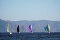 Sail Yacht racing in the Mediterranean sea in Turkey. Several sailing yachts in a beautiful bay. Royalty Free Stock Photo