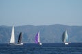 Sail Yacht racing in the Mediterranean sea in Turkey. Several sailing yachts Royalty Free Stock Photo