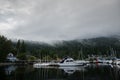 Sail, yachts and motor boats anchor in the harbor. Calm water and the green misty mountains after rain. Deep Cove