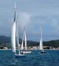 Sail yachts on the water in the Caribbean