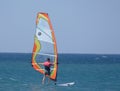 Sailboard sportsman Royalty Free Stock Photo