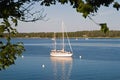 Sailboat anchored in harbor Royalty Free Stock Photo