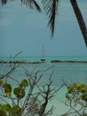 Sailboat anchored near island