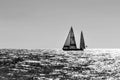 Sailboat on the Atlantic Ocean near the coast. Fuerteventura, Canary Islands, Spain Royalty Free Stock Photo