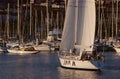 Sailboat in Bandol marina, France