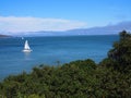 Sailboat on bay in Sanfrancisco Royalty Free Stock Photo