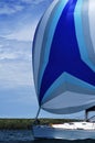 Sailboat with Blue Spinnaker Sail Royalty Free Stock Photo