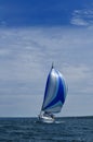 Sailboat with Blue Spinnaker Sail Royalty Free Stock Photo