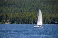 Sailboat on the blue water of a lake