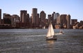 Sailboat in Boston Harbor with Skyline of Buildings Along the Sh