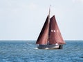Sailboat with brown sails sailing on lake IJsselmeer near Enkhuizen, Netherlands