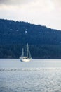 Sailboat coming into shore in blue hues