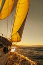 Sailboat crop during the regatta at sunset ocean Royalty Free Stock Photo