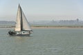 Sailboat cruising San Francisco CA.