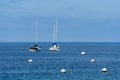 Sailboat dock next to Catalina Island, California, USA. Royalty Free Stock Photo