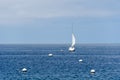 Sailboat dock next to Catalina Island, California, USA. Royalty Free Stock Photo