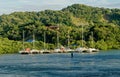 Sailboat Dock in Roatan Honduras Royalty Free Stock Photo