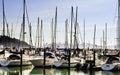 Sailboat Harbor, California Royalty Free Stock Photo