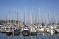 Sailboat harbor, many beautiful moored sail yachts in the sea port, modern water transport, summertime vacation, luxury lifestyle