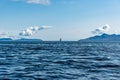 Straight Ahead - Sailboat departs Isle of Skye, Scotland Royalty Free Stock Photo