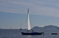 Junk rigged cruising sailboat. Royalty Free Stock Photo