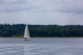 Sailboat on the lake