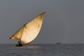 Sailboat on Lake Victoria Royalty Free Stock Photo