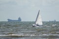 A sailboat makes pace along the beach. Large freighters on the horizon.