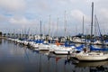 Sailboat Marina Royalty Free Stock Photo