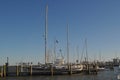 Staggared Sailboat Masts Royalty Free Stock Photo