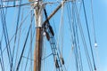 Sailboat masts, rigging and rolled up sails Royalty Free Stock Photo