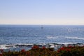 A sailboat in the middle of vast blue ocean water with red flowers and lush green plants on the hillside with blue sky Royalty Free Stock Photo